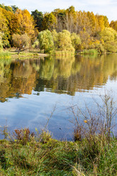 Similar image 21132693