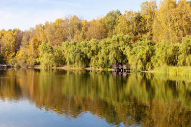 Similar image 21132761