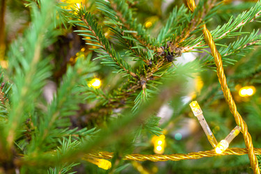 Similar image 21106098