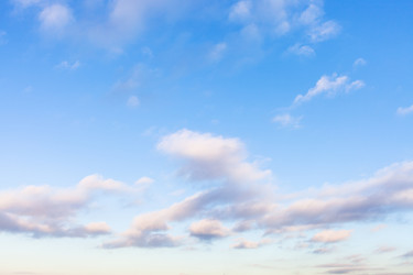 Similar image 21113568