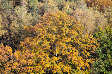 Similar image 21113883