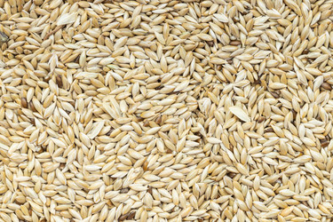 Similar image 21115081