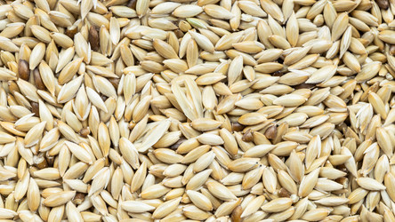 Similar image 21115082