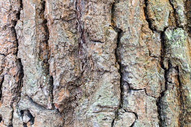 Similar image 21115400