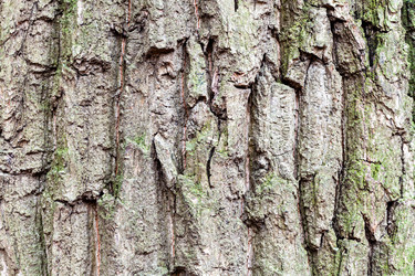 Similar image 21115401