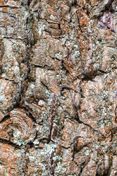 Similar image 21121338