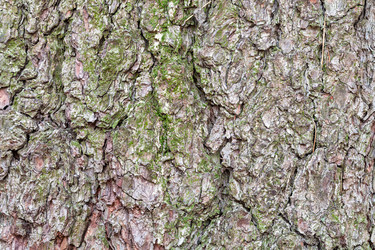 Similar image 21121505