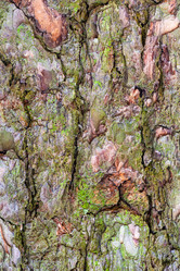 Similar image 21121507