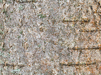 Similar image 21126065