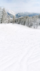 Similar image 21126073