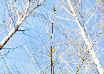 Similar image 21132794