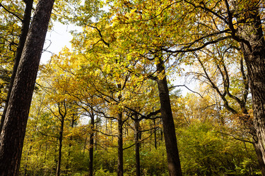 Similar image 21081273