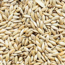 Similar image 21081276