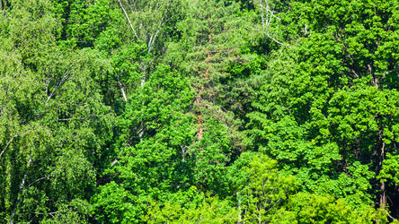 Similar image 21082788