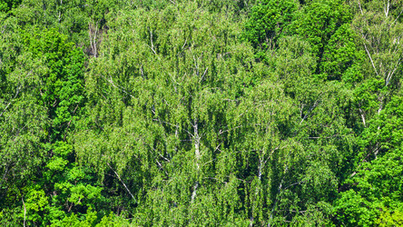 Similar image 21082899