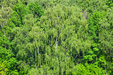 Similar image 21087034