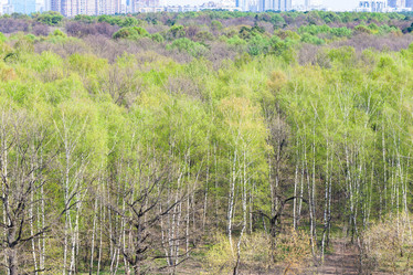 Similar image 21097251