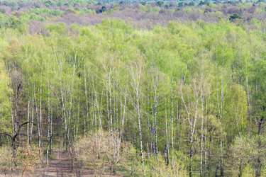 Similar image 21105723