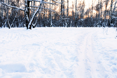 Similar image 21111980