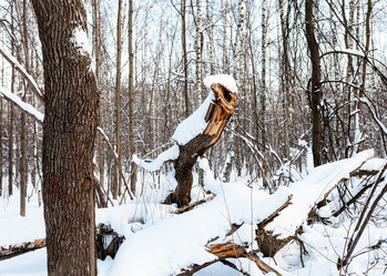 Similar image 21113888