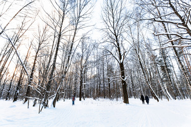 Similar image 21113891