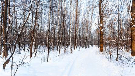 Similar image 21113893