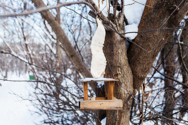 Similar image 21115408