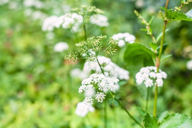 Similar image 21080206