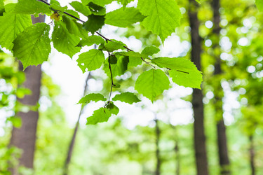 Similar image 21080282