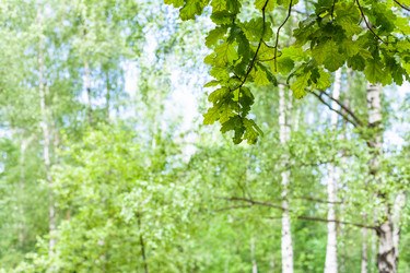 Similar image 21082500