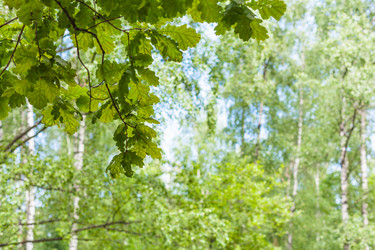 Similar image 21082791