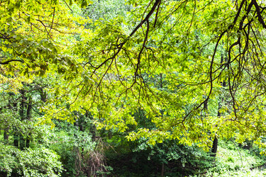 Similar image 21082794