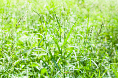 Similar image 21087436