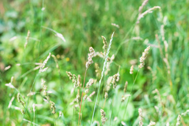 Similar image 21097287