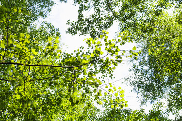 Similar image 21105732