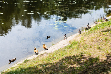 Similar image 21106111