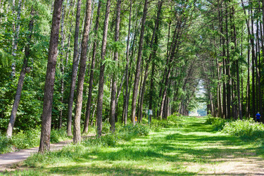 Similar image 21111986