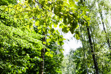 Similar image 21111987