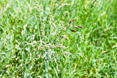 Similar image 21113894