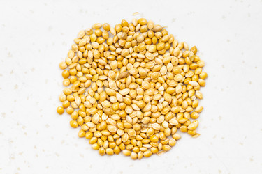 Similar image 21115417