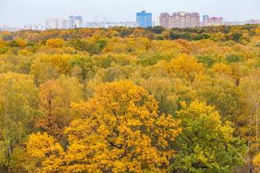 Similar image 21121510