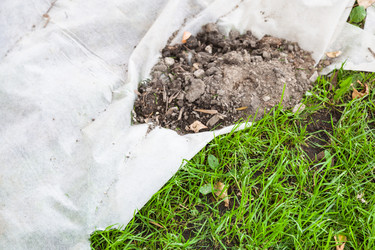 Similar image 21126081