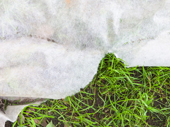 Similar image 21126082