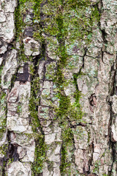 Similar image 21080207