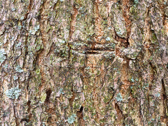 Similar image 21080284