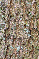 Similar image 21080286