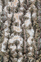 Similar image 21081285