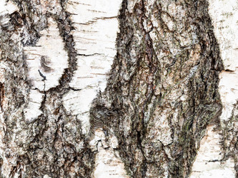 Similar image 21082797