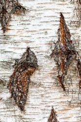 Similar image 21087315