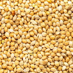 Similar image 21087442